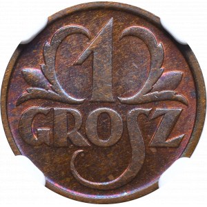 II Rzeczpospolita, 1 grosz 1936 - NGC MS65 BN