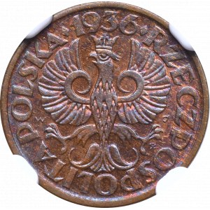 II Republic of Poland, 1 groschen 1936 - NGC MS65 BN