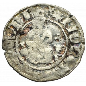 Casimirus III, 1/4 groshen without date, Cracow