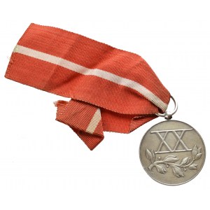 II RP, Medal za XX lat służby - srebro