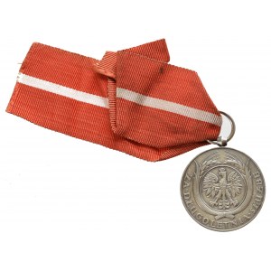 II RP, Medal za XX lat służby - srebro