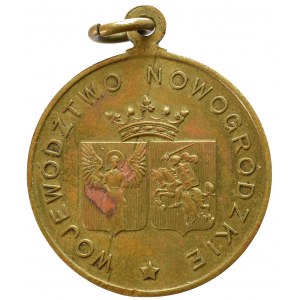 II RP, Medal Województwo Nowogródzkie w 10-lecie Niepodległości - rzadkość brąz