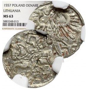 Sigismund II Augustus, 1-denar 1557, Vilnius - NGC MS63