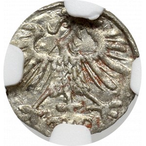 Sigismund II Augustus, 1-denar 1557, Vilnius - NGC MS63