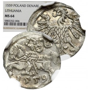 Sigismund II Augustus, 1-denar 1559, Vilnius - NGC MS64