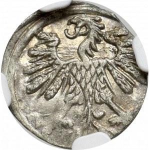 Sigismund II Augustus, 1-denar 1559, Vilnius - NGC MS64