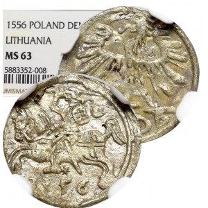 Sigismund II August, Denarius 1556, Vilnius - NGC MS63