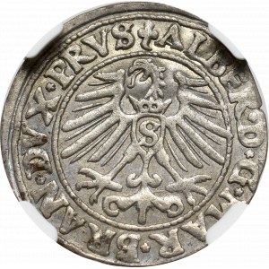 Prusy Książęce, Albreht Hohenzollern, Grosz 1548, Królewiec - NGC AU58