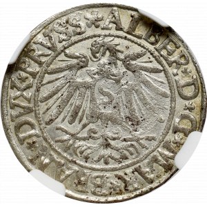 Prusy Książęce, Albreht Hohenzollern, Grosz 1538, Królewiec - NGC MS62