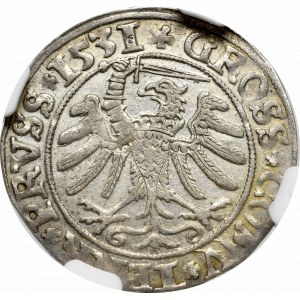 Zygmunt I Stary, Grosz dla ziem pruskich 1531, Toruń - PRVSS/PRV NGC UNC