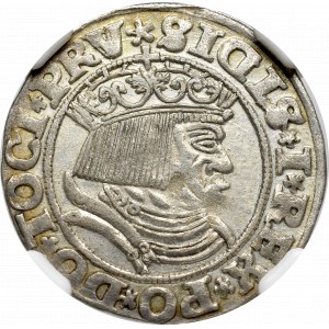 Sigismund I the Old, Groschen 1531, Thorn - NGC UNC