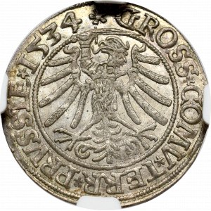 Zygmunt I Stary, Grosz dla ziem pruskich 1534, Toruń - PRVSSIE/PRVSSIE NGC MS63