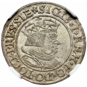 Sigismund I the Old, Groschen 1534, Thorn - NGC MS63