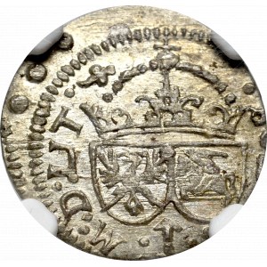 Zygmunt III Waza, Szeląg 1616, Wilno - NGC MS63
