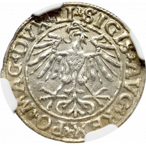 Zygmunt II August, Półgrosz 1550, Wilno - LI/LITVA NGC MS62