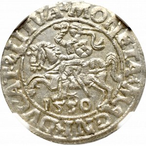 Sigismund II Augustus, Halfgroat 1550, Vilnius - LI/LITVA NGC MS62