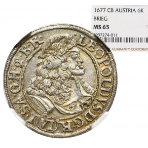 Śląsk pod panowaniem Habsburgów, Leopold I, 6 Krajcarów 1677 CB, Brzeg - NGC MS65