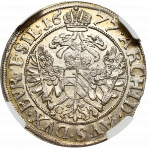 Śląsk pod panowaniem Habsburgów, Leopold I, 6 Krajcarów 1677 CB, Brzeg - NGC MS65