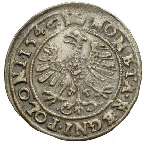 Sigismund I the Old, Groschen 1546
