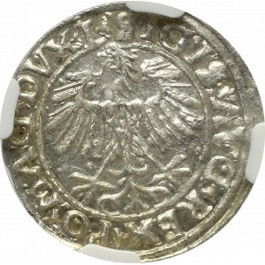 Zygmunt II August, Półgrosz 1557, Wilno - L/LITVA NGC MS61