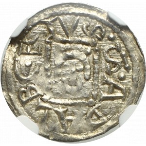 Bolislaus IV, Denarius