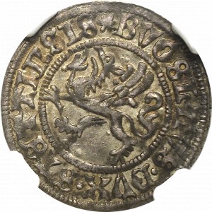 Pomorze, Księstwo Szczecińskie, Bogusław X, Szeląg 1504, Szczecin - NGC MS61