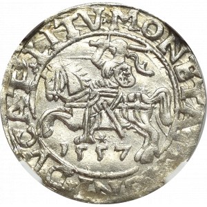 Sigismund II Augustus, Half-groat 1557, Vilnius - LI/LITV NGC MS65