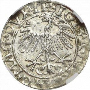 Sigismund II Augustus, Half-groat 1557, Vilnius - LI/LITV NGC MS65