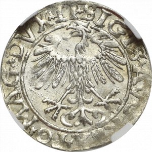 Zygmunt II August, Półgrosz 1557, Wilno - LI/LITV - NGC MS65