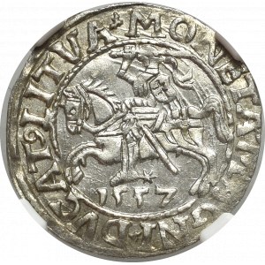 Sigismund II Augustus, Half-groat 1557, Vilnius - LI/LITVA NGC MS65