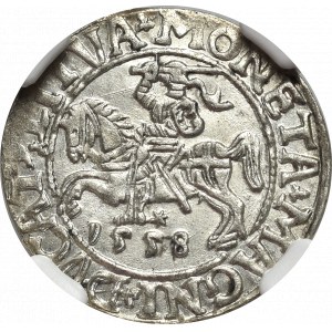 Zygmunt II August, Półgrosz 1558 Wilno - LI/LITVA - NGC MS63