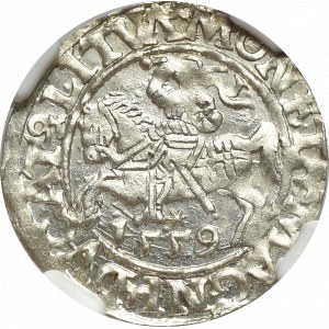 Sigismund II Augustus, Halfgroat 1559, Vilnius