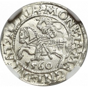 Zygmunt II August, Półgrosz 1560, Wilno - LI/LITVA - NGC MS65