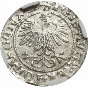 Zygmunt II August, Półgrosz 1560, Wilno - LI/LITVA - NGC MS65