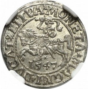 Sigismund II Augustus, Halfgroat 1547, Vilnius - LI/LITVA NGC MS64