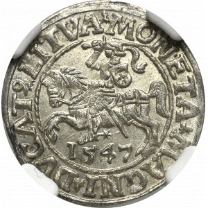 Zygmunt II August, Półgrosz 1547 Wilno - LI/LITVA - NGC MS64