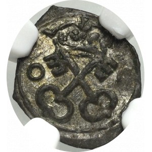 Zygmunt III Waza, Denar 1608, Poznań - NGC MS62 (MAX)