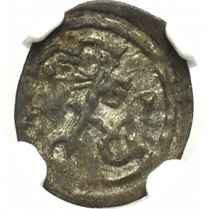 Zygmunt III Waza, Denar 1607, Poznań - NGC AU58 (MAX)