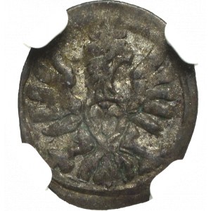 Zygmunt III Waza, Denar 1607, Poznań - NGC AU58 (MAX)