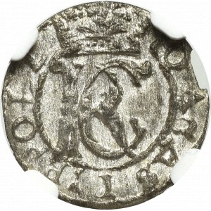 Jan II Kazimierz, Szeląg 1652, Wilno - nieopisany - NGC MS64 (MAX)