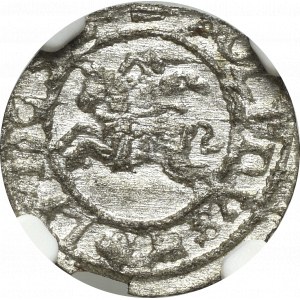 Jan II Kazimierz, Szeląg 1652, Wilno - nieopisany - NGC MS64 (MAX)