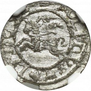 John II Casimir, Schilling 1652, Vilnius - NGC MS64