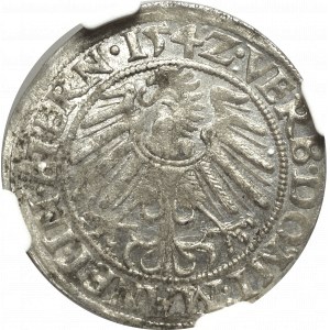 Schlesien, Duchy of Brieg-Leignitz-Wholau, Groschen 1542 - NGC MS63