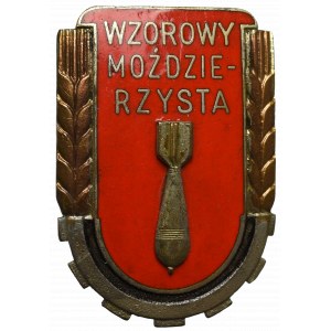 PRL, Odznaka Wzorowy Moździerzysta wz.51