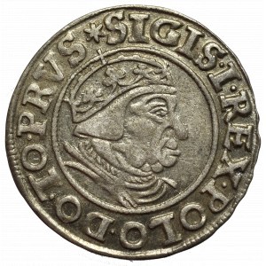 Zygmunt I Stary, Grosz 1539, Gdańsk - PRVS piękny