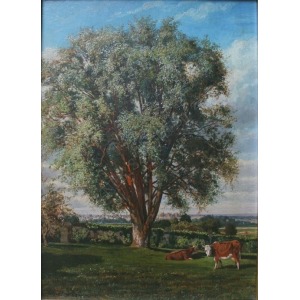 Charles Boulogne(?-1878), Pejzaż z drzewem i krowami