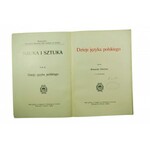 BRÜCKNER Aleksander - Dzieje języka polskiego