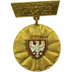 Złota odznaka honorowa ZA ZASŁUGI W ROZWOJU WOJEWÓDZTWA PILSKIEGO + legitymacja