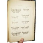 ŻEBRAWSKI Teofil - Owady łuskoskrzydłe czyli motylowate z okolic Krakowa + tablice, 1860r.