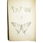 ŻEBRAWSKI Teofil - Owady łuskoskrzydłe czyli motylowate z okolic Krakowa + tablice, 1860r.